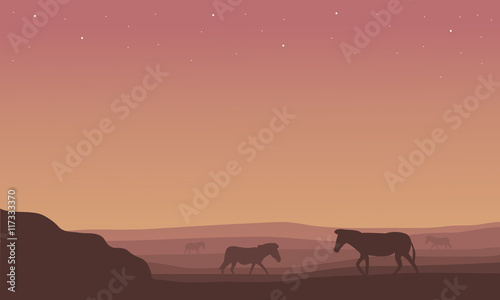 Silhouette of zebra scenery in hill