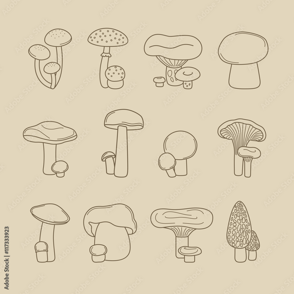 Vector hand drawing mushrooms for recipes and menus line icons Vector hand drawing mushrooms for recipes and menus line icons