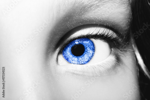 Wallpaper Mural Macro Close up portrait of young girls blue eye Torontodigital.ca