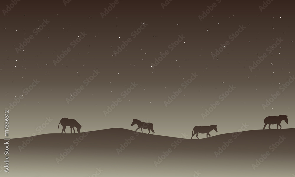 Silhouette of zebra in hills scenery at nigh