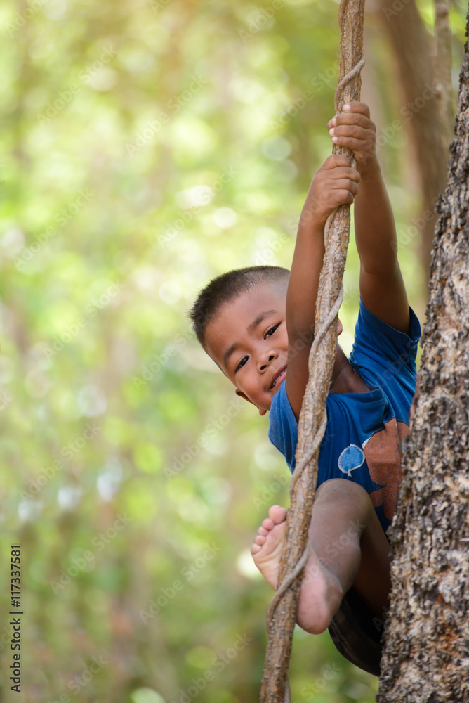 Fototapeta premium Cute little boy climbing tree