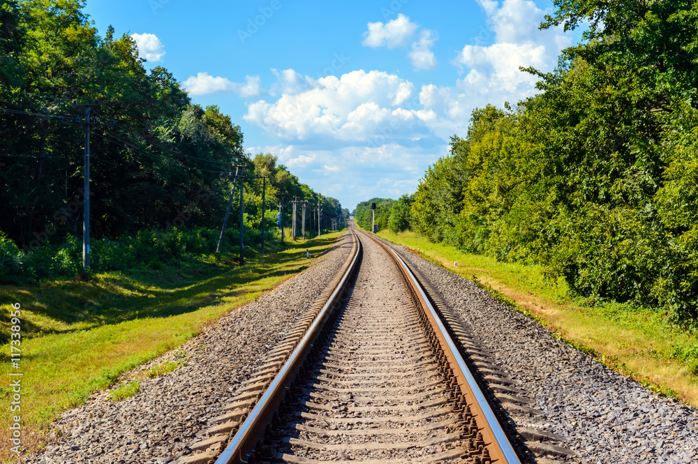 Fototapeta premium The railway goes to horizon, on both sides of the green dense forest.