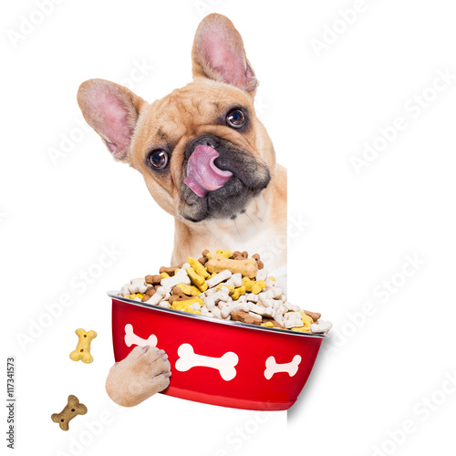 Fototapeta Naklejka Na Ścianę i Meble -  hungry dog bowl
