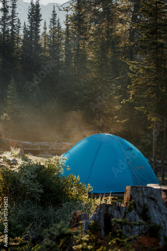 Tourist tent in wild forest. Morning in taiga