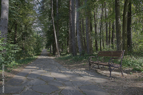 Photos Shady forest path lined with stone tiles