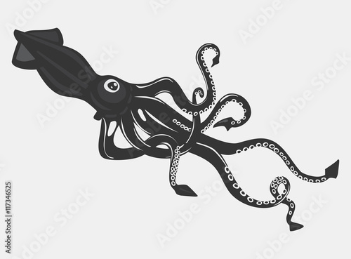 Black calamari or squid with suction cups on arms photo
