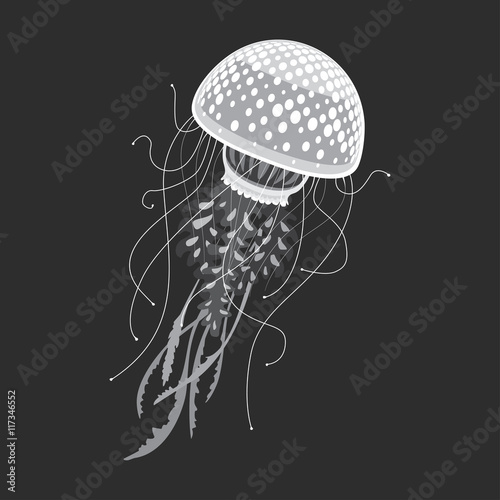 Aquarium dotted jellies, jellyfish or medusa