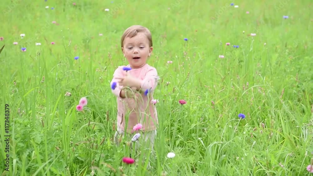 Cute little girl playing in wild flower field Cute little girl playing in wild flower field