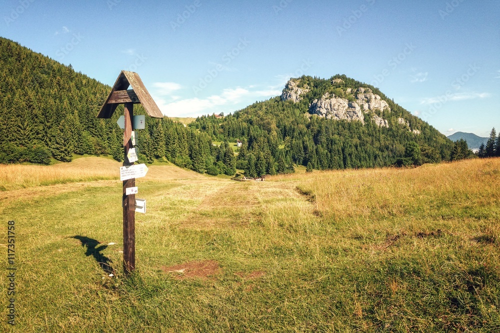Φωτογραφία Meadows near Malino Brdo in Great Fatra (Velka Fatra) National Park, Slovakia