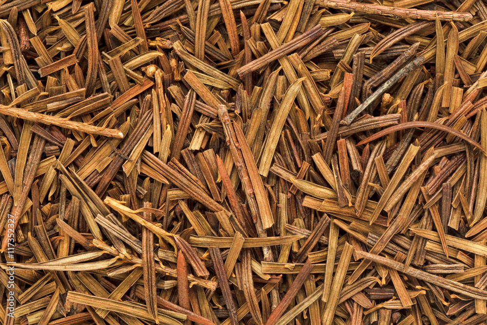 Organic dry Yew (Taxus baccata) leaves. Macro close up background texture. Top view. Organic dry Yew (Taxus baccata) leaves. Macro close up background texture. Top view.