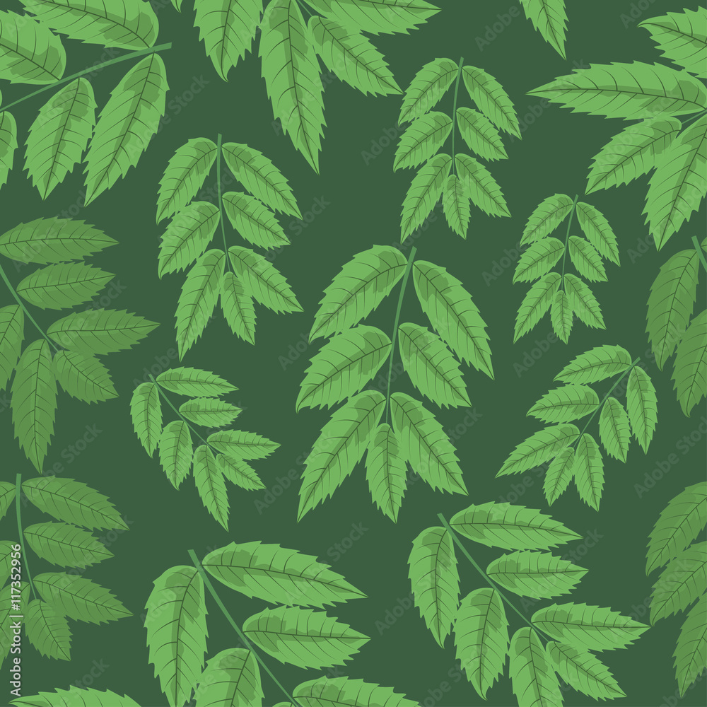 Seamless pattern leaves of rowan on green background.