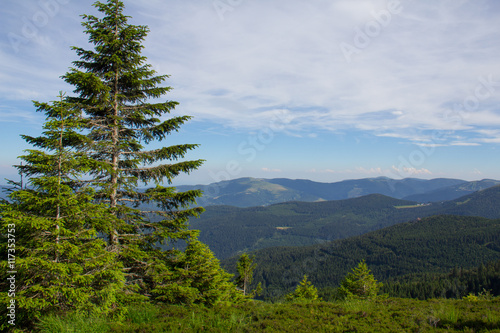 Obraz na płótnie Paysage des Vosges w salonie