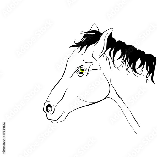 Elegant black and white silhouette horse with realistic green eyes.