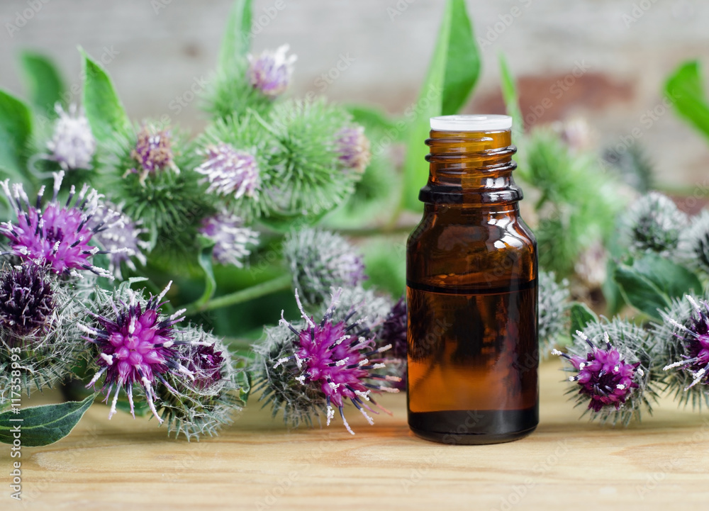 Small bottle of burdock extract (oil, tincture, infusion) Small bottle of burdock extract (oil, tincture, infusion)