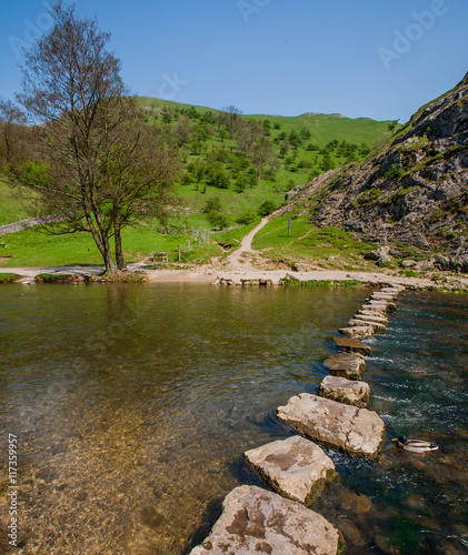 england derbyshire peak district national park valley of the river dove dovedale