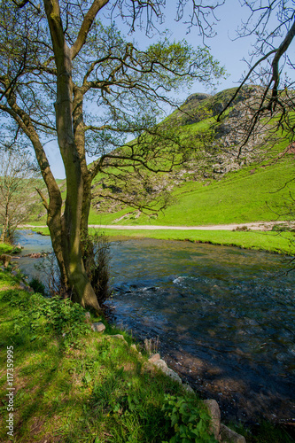 england derbyshire peak district national park valley of the river dove dovedale