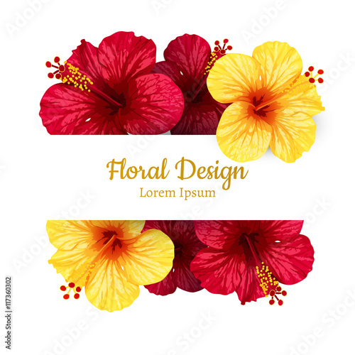 vector hibiscus flower. invitation card.