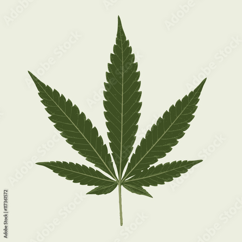 leaf cann