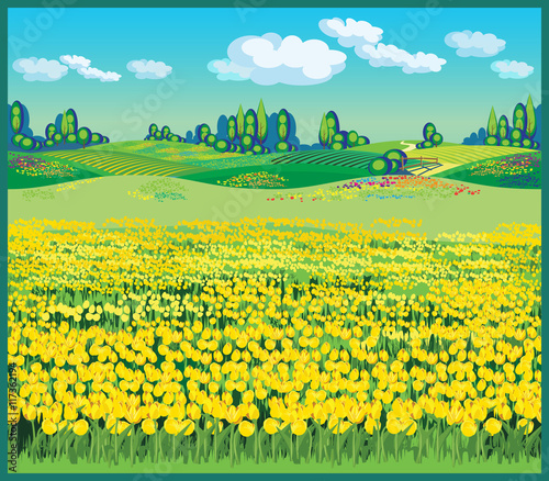 beautiful country landscape with tulips