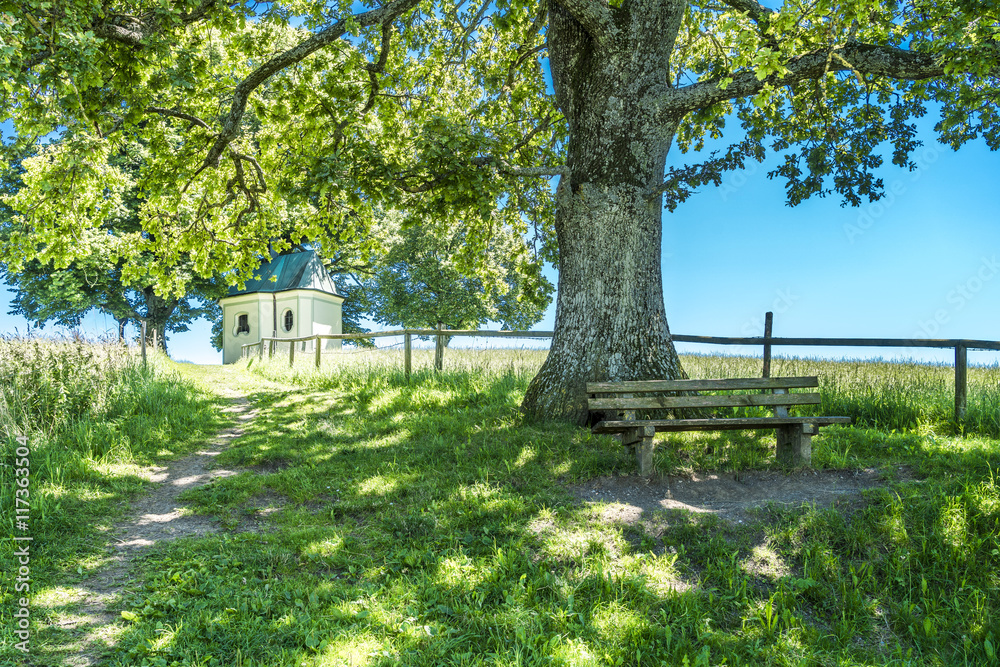 Schattiger Rastplatz auf dem Weg zur Maria-Dank-Kapelle in Degerndorf bei Wolfratshausen Schattiger Rastplatz auf dem Weg zur Maria-Dank-Kapelle in Degerndorf bei Wolfratshausen