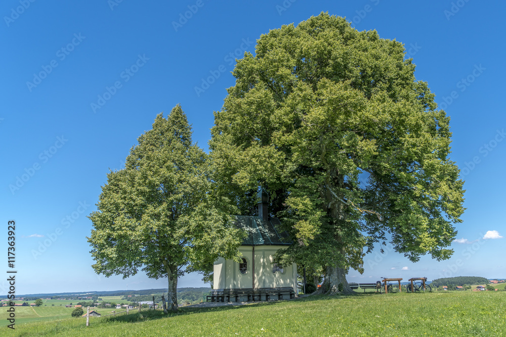 Maria-Dank-Kapelle in Degerndorf bei Wolfratshausen unter Bäumen