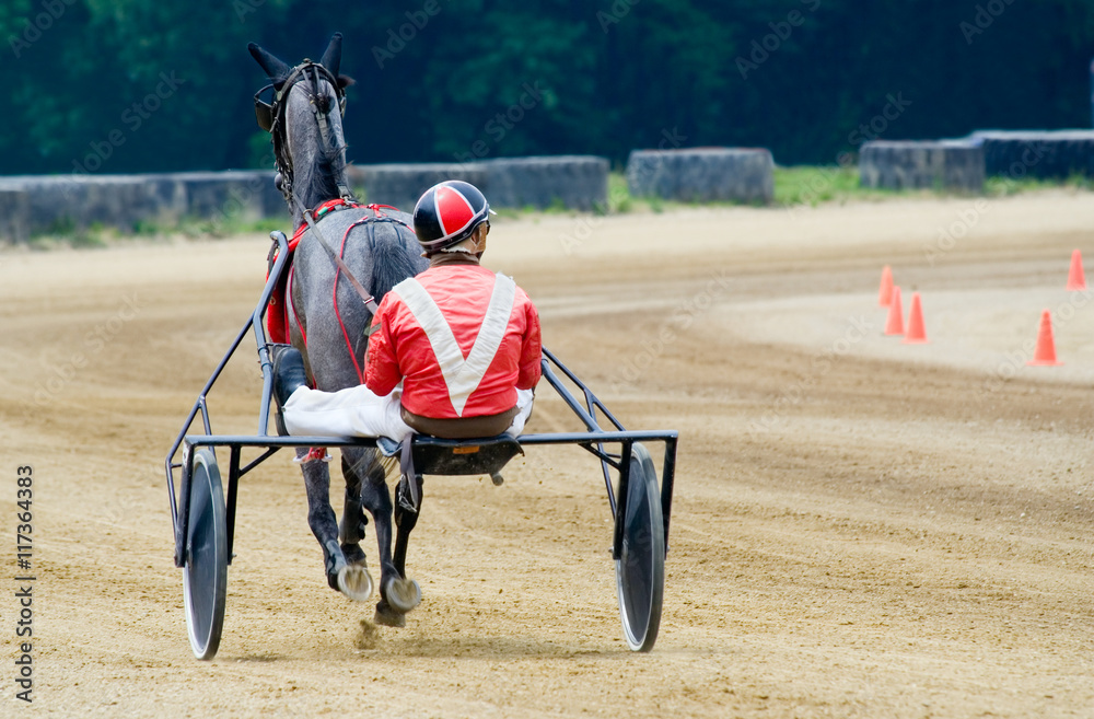 Fototapeta premium Harness Racer on the Track – A harness racer in his sulky on the track, preparing for a race.