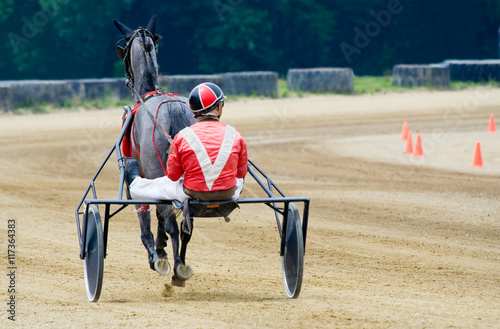 Harness Racer on the Track – A harness racer in his sulky on the track, preparing for a race.