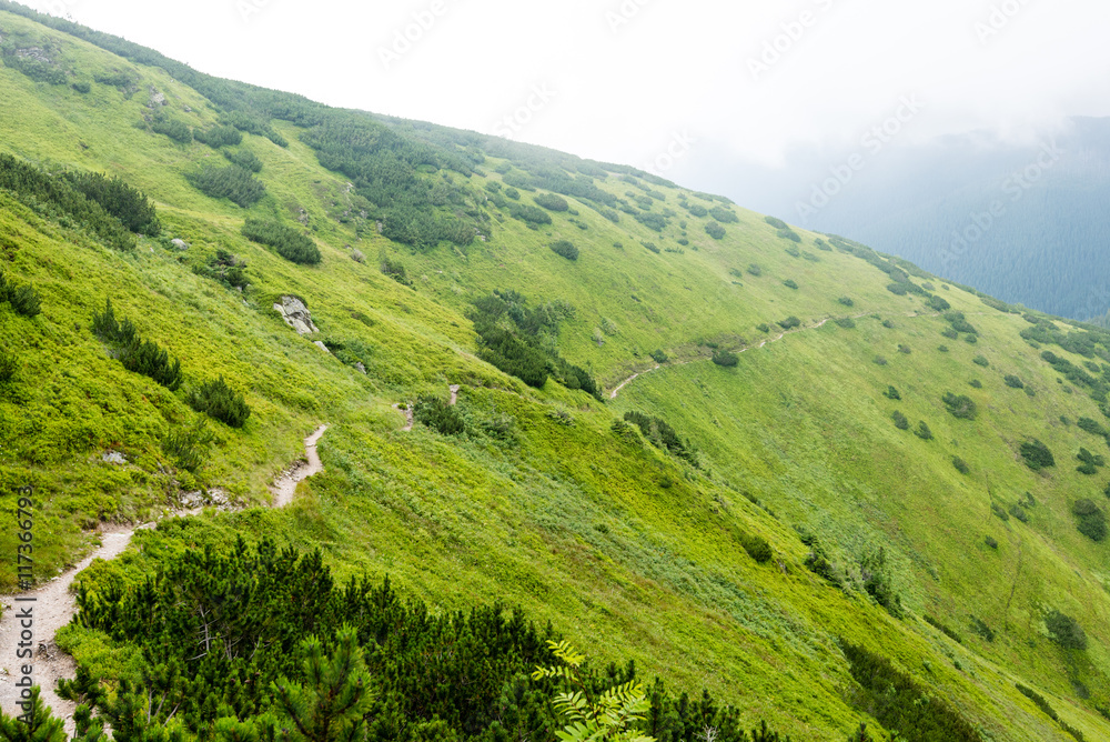 Obraz premium green mountain landscape covered with clouds