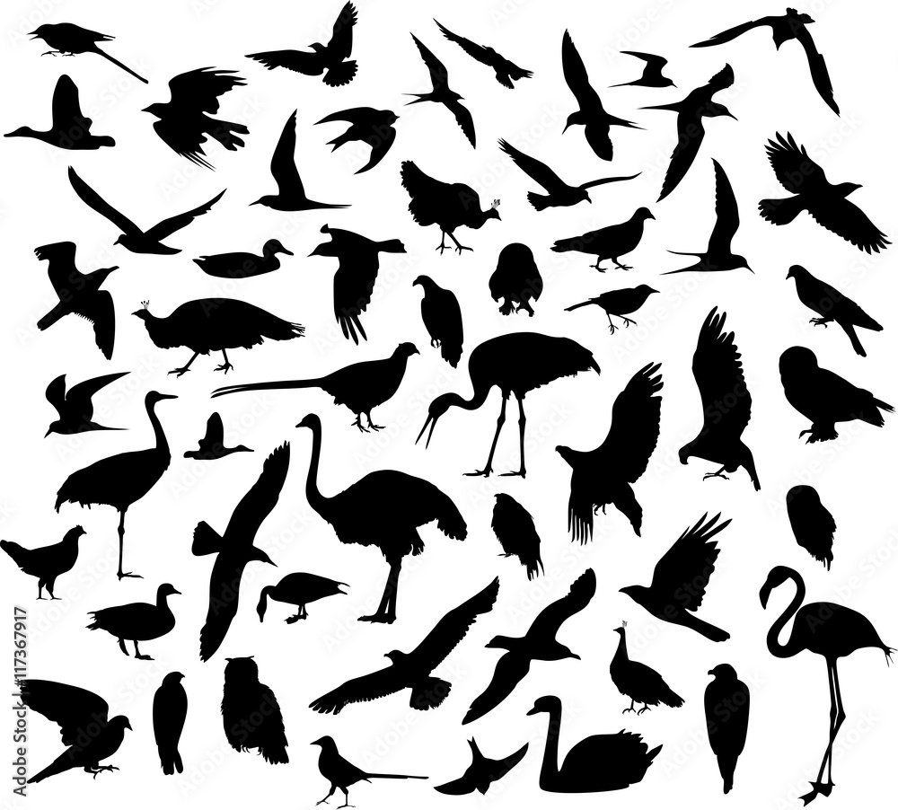 Naklejka premium Silhouettes of birds. Silhouettes of flying birds