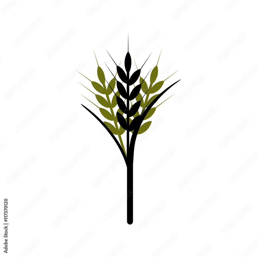 wheat icon wheat icon