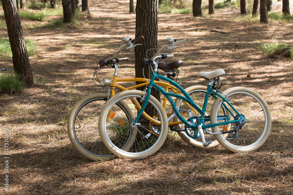 Fototapeta premium bicycles