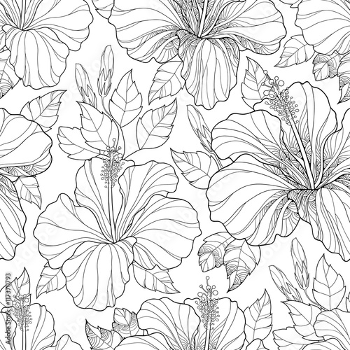 Vector seamless pattern with ornate Chinese Hibiscus flower, bud and leaves on the white background. Monochrome floral background with Hibiscus in contour style for summer design and coloring book.