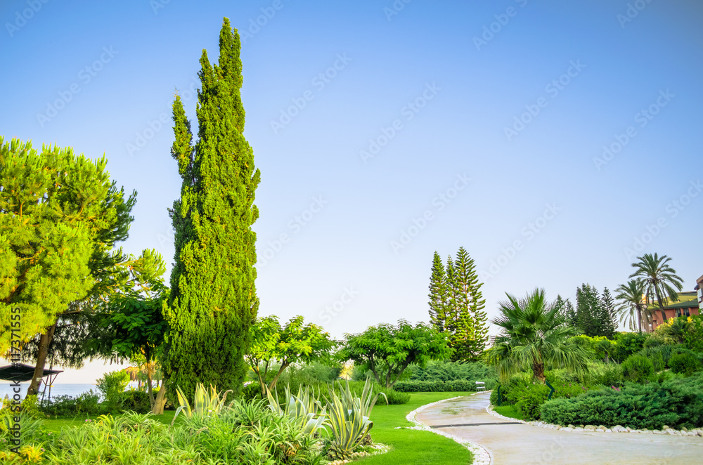 Fototapeta premium Tropical landscaping with planting and trees