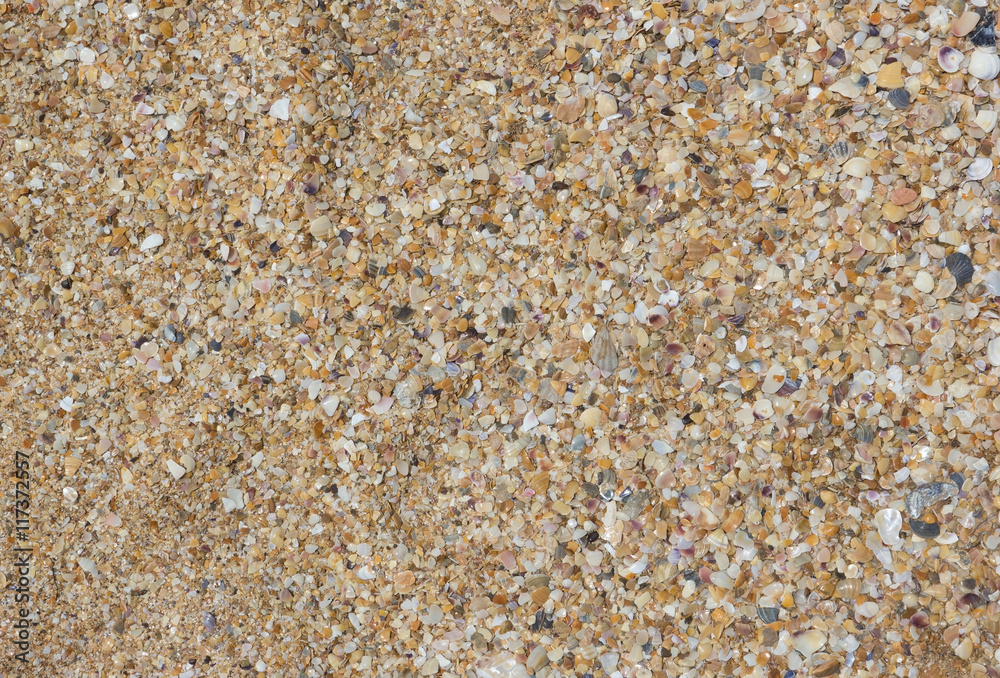Background of sand made of broken sea shells Background of sand made of broken sea shells