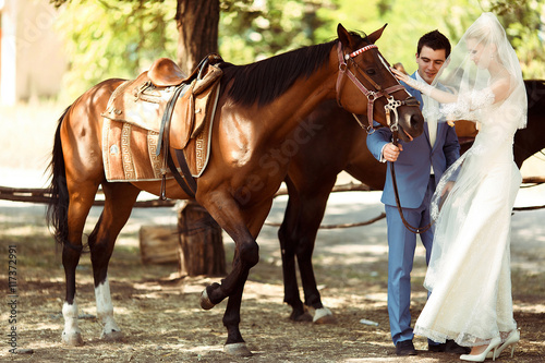 Brown horse and a bride in the nice dress