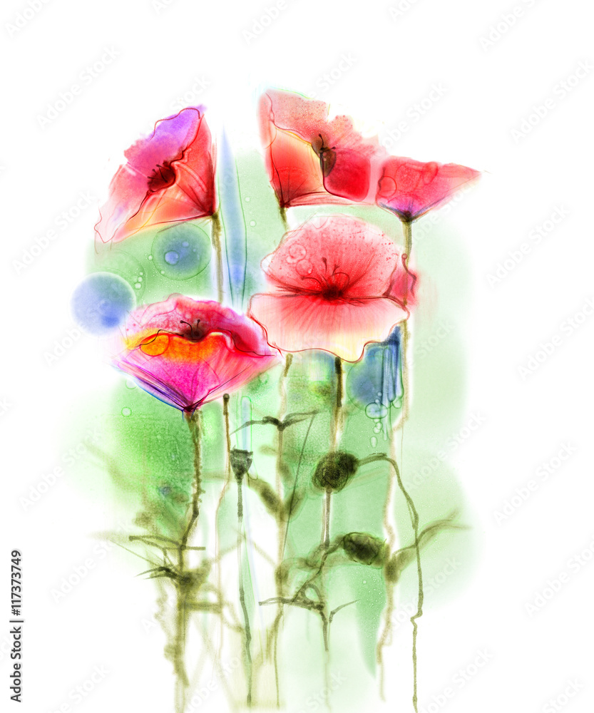 Obraz premium Watercolor red poppy flowers painting. Flower paint in soft color and blur style, Isolated red poppies on white background. Spring floral seasonal nature background. Watercolor flowers background