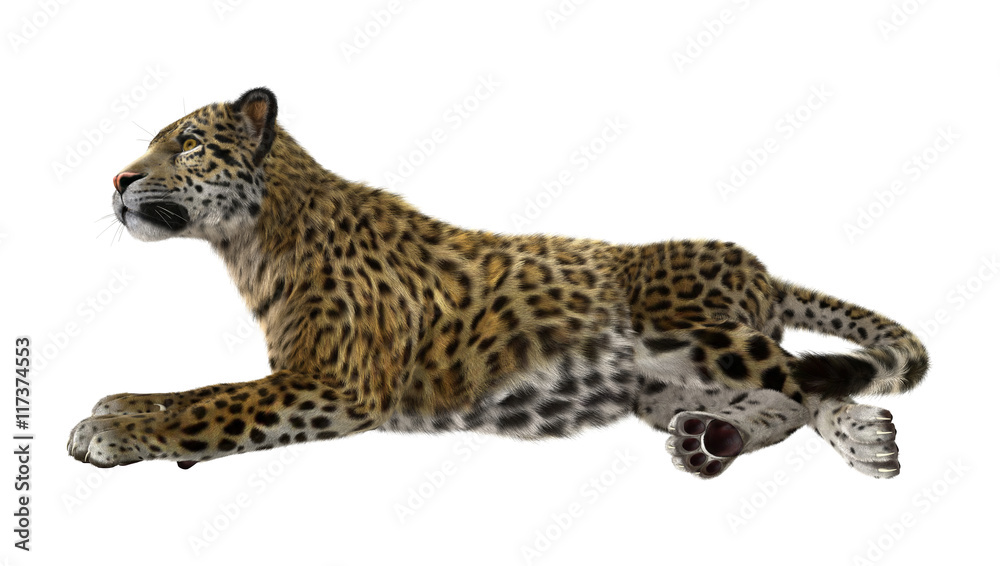 Fototapeta premium 3D Rendering Big Cat Jaguar