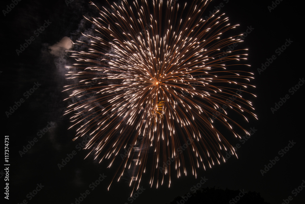 2016 立川花火13 2016 立川花火13