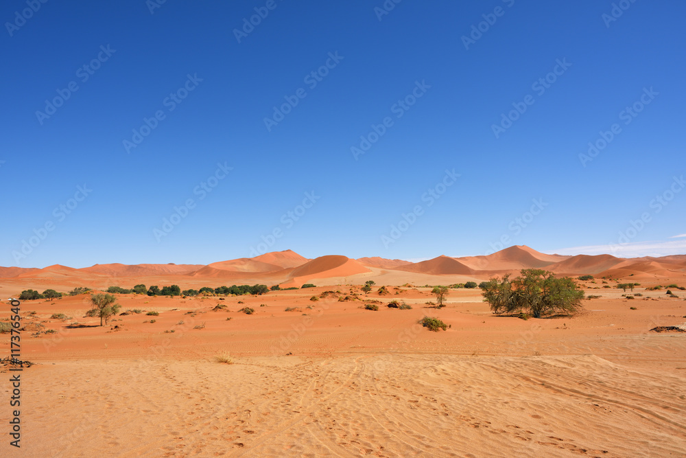 Sossusvlei, Namib Naukluft National Park, Namibia Sossusvlei, Namib Naukluft National Park, Namibia