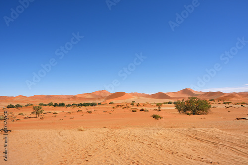 Sossusvlei, Namib Naukluft National Park, Namibia