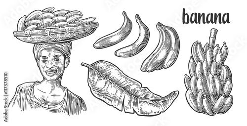 Two single and bunches of fresh banana with leaf. African woman carries a basket with fruits on her head.