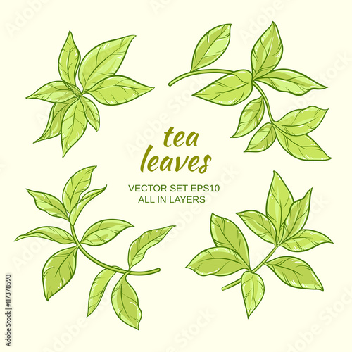 tea leaves set