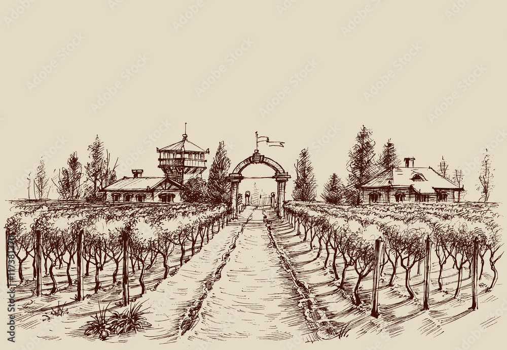 Vineyard vector drawing, etch style. Farm entrance