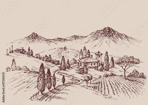 Vineyard sketch. Wine label design. Rural landscape drawing