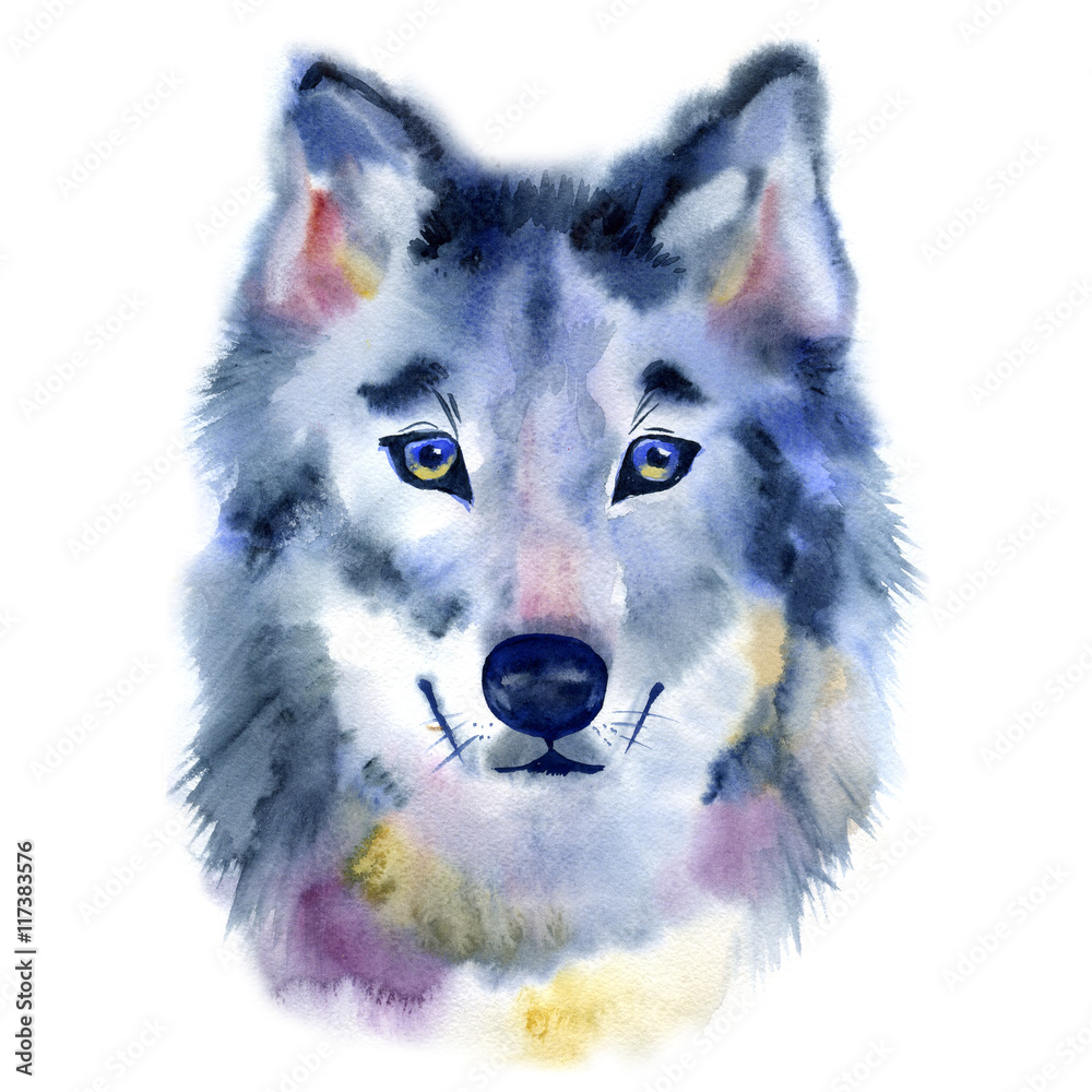Watercolor Wolf Head Front View Hand Painted Illustration Stock Illustration Adobe Stock