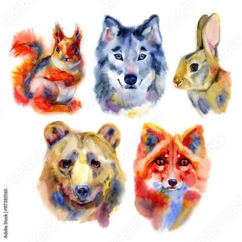 Set of forest animals. Watercolor illustration in white background. © Natali_Mias