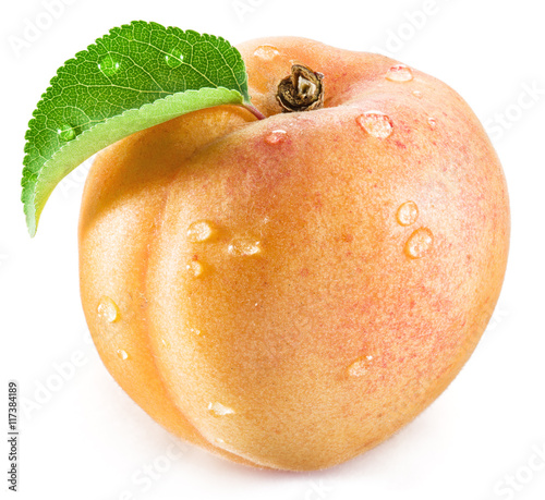 Apricot fruit with leaf and water drops on it on the white backg
