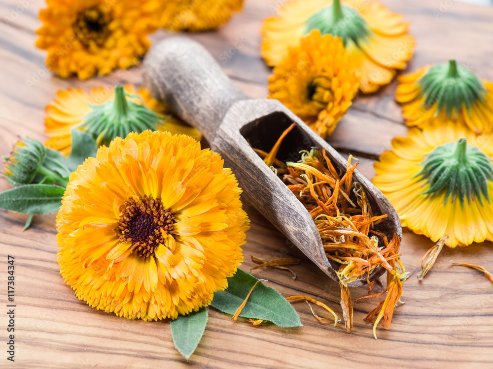 Calendula flowers on the old wooden table. Calendula flowers on the old wooden table.
