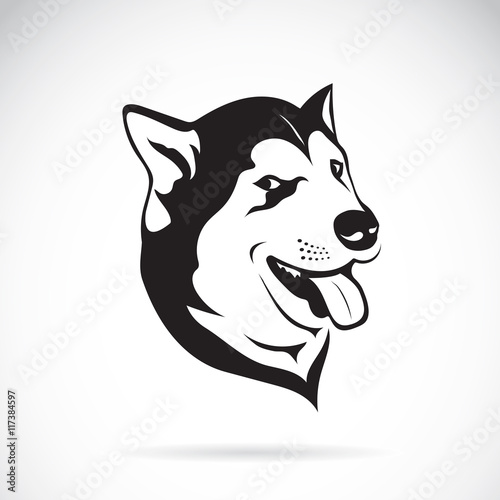 Vector of a dog siberian husky on white background.