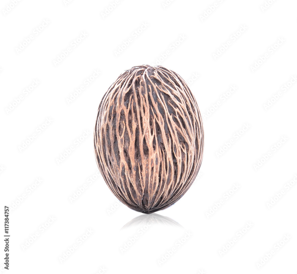Fototapeta premium Suicide tree seed, Pong pong seed or Othalanga,Cerbera oddloam's